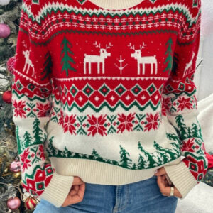 Style Color Block Crew Neck Cartoon Sweater