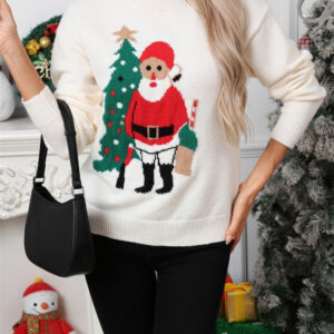 Santa Print Color Block Crew Neck Sweater